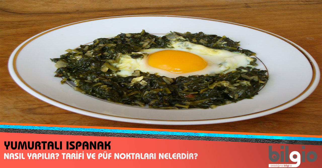 Ispanak Püresi Tarifi Ispanak Püresi Tarifi