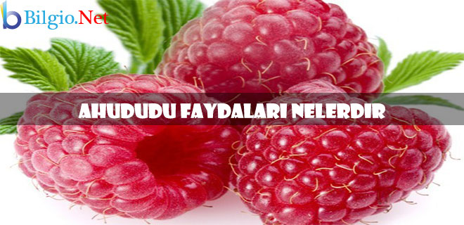 ahududufaydaları