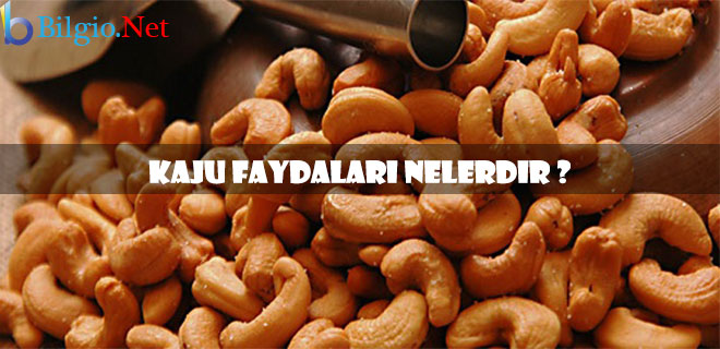 kaju-faydaları