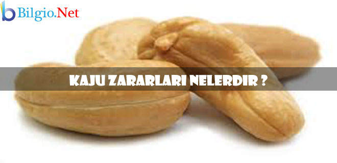 kaju-zararları