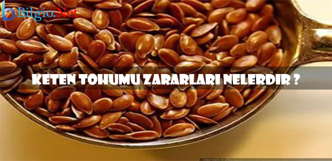 keten-tohumu-zararları