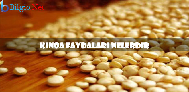 kinoa-faydaları