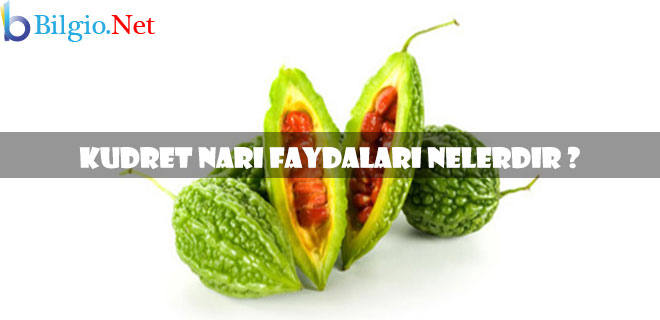 kudret-narı-faydaları