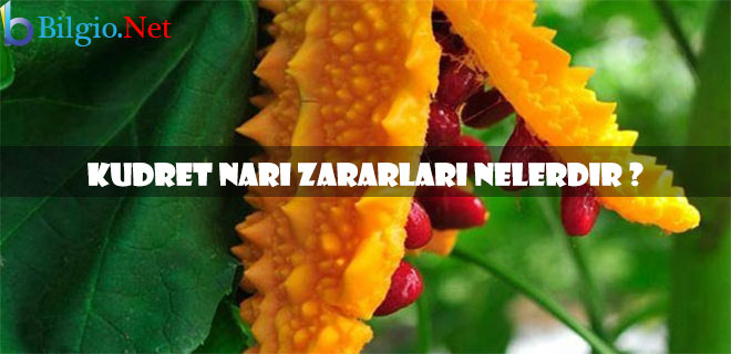 kudret-narı-zararları
