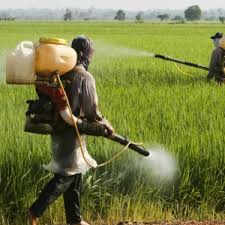 bitkilerin zararları