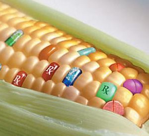 şifalı bitkilerin yan etkileri