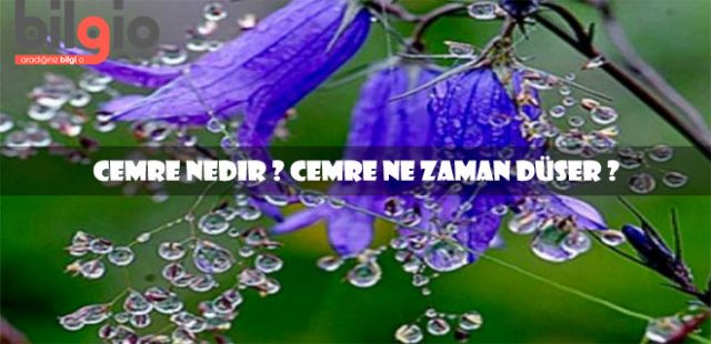 Cemre Nedir ? Cemre Neden İlkbaharı Müjdeler ?