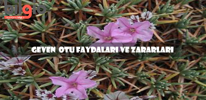 geven-faydaları