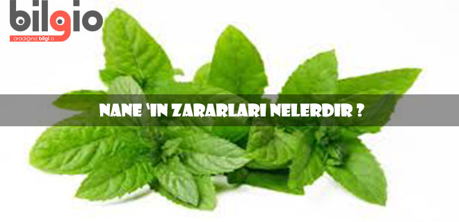 nane-zararları