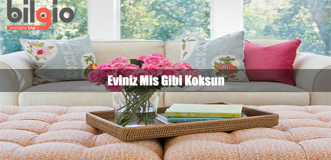 evin-temiz-kokmasi