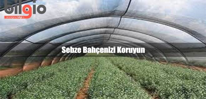 sebze-bahcesi-koruma