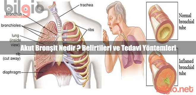 Kompozisyon Aile Gelenekleri: özellikler, kurallar, tavsiyeler Kompozisyon Aile Gelenekleri: özellikler, kurallar, tavsiyeler