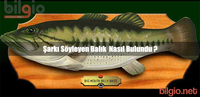 sarki-soyleyen-balik-nasil-bulundu