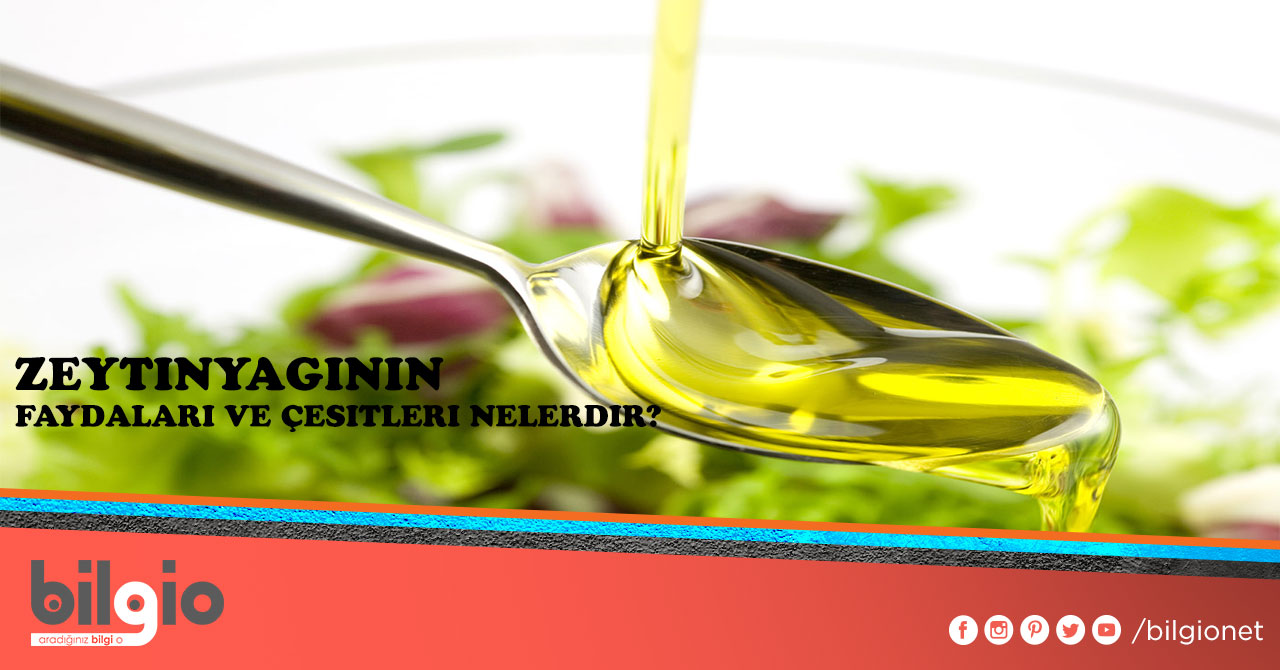Zeytinyağının Faydaları Zeytinyağının Faydaları