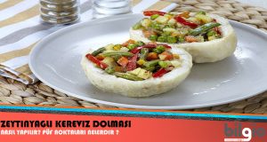 ZEYTİNYAĞLI DOLMALAR ZEYTİNYAĞLI DOLMALAR