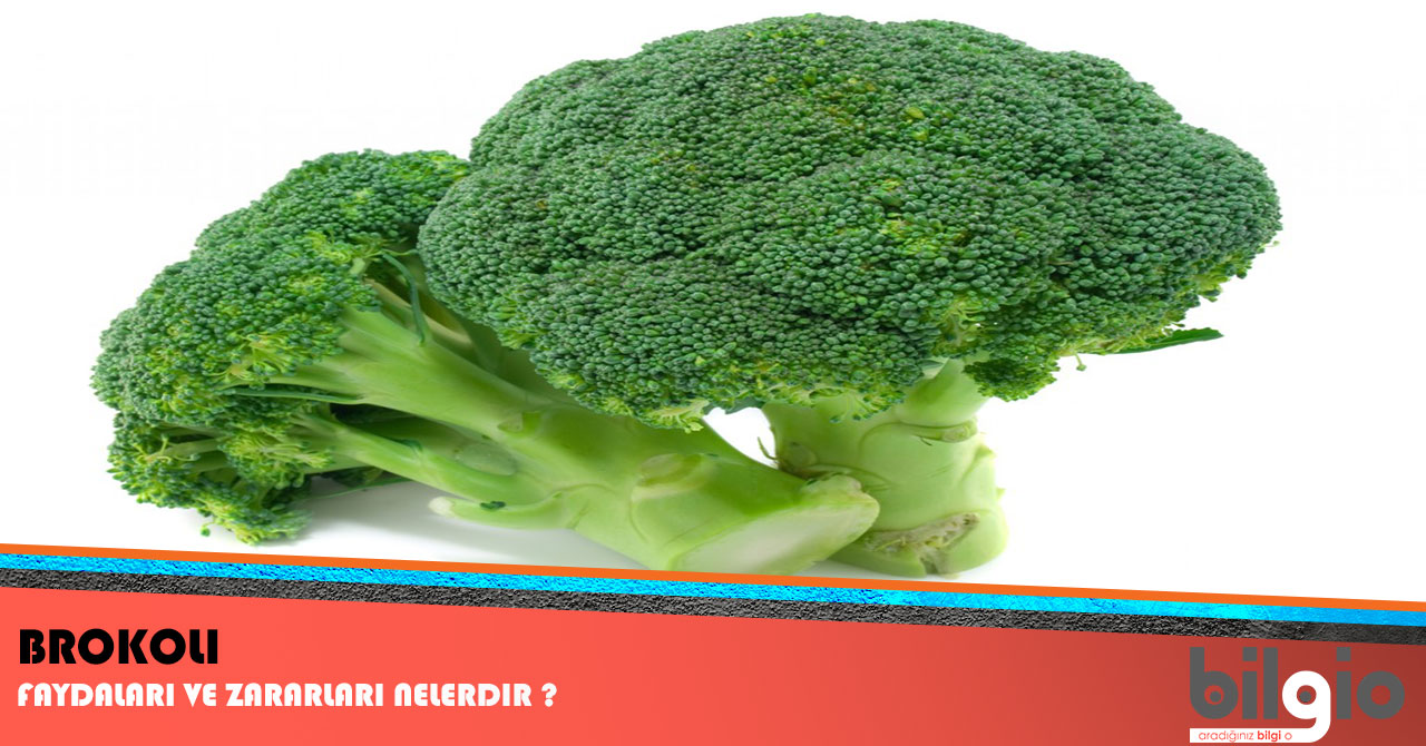 Brokolinin Yararları Brokolinin Yararları