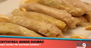 ZEYTİNYAĞLI DOLMALAR ZEYTİNYAĞLI DOLMALAR