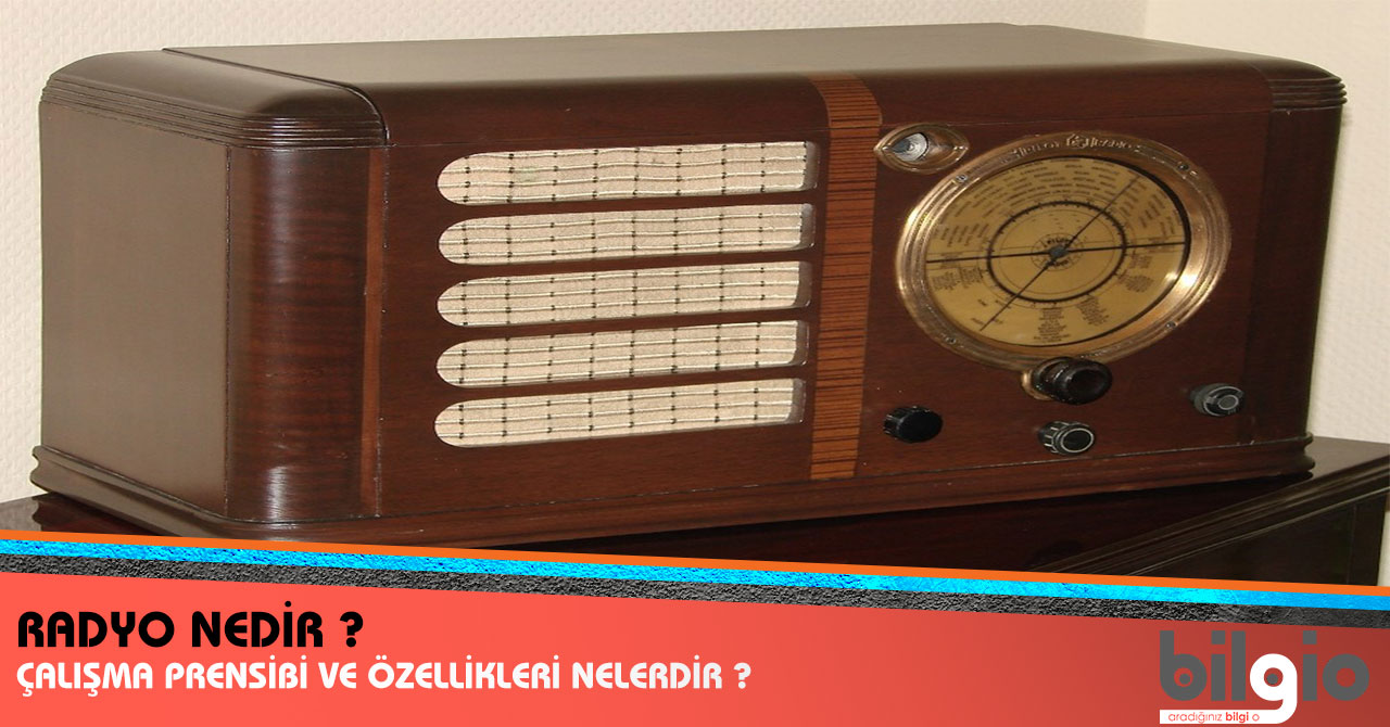 Lovasha ruloları mükemmel bir meze 92