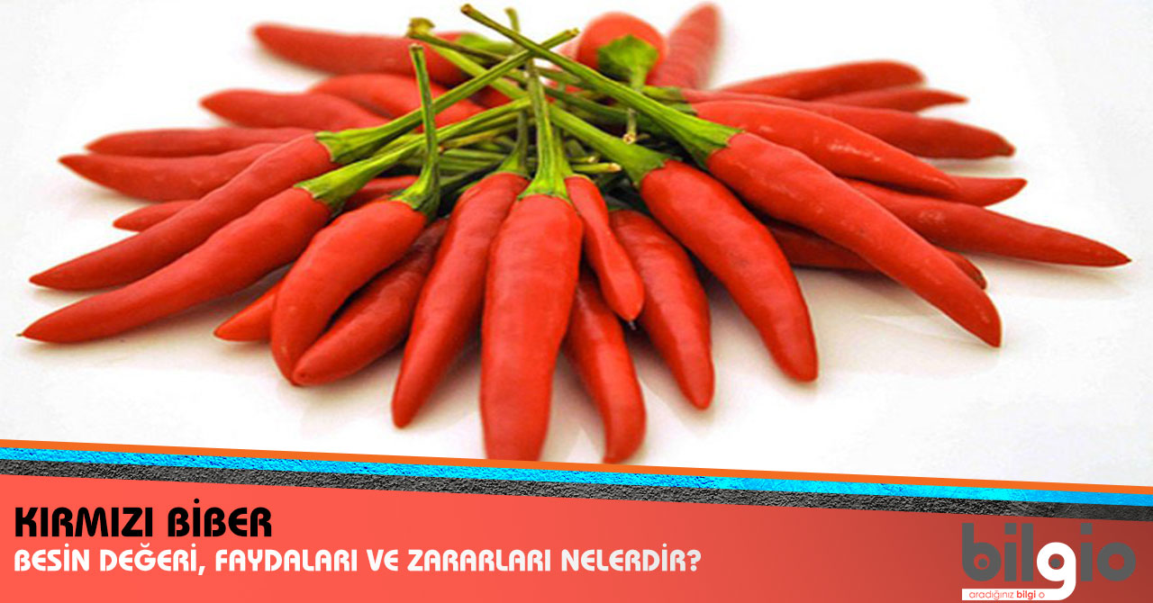 Gargaranın farklı kullanım alanları nelerdir Gargaranın farklı kullanım alanları nelerdir
