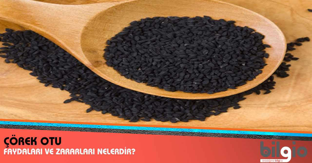 Felce iyi Gelen Bitkiler Meyveler Yiyecekler Felce iyi Gelen Bitkiler Meyveler Yiyecekler