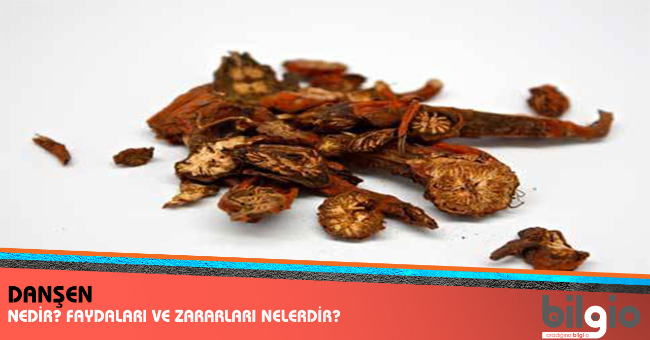 Yeni Baharın Faydaları Nelerdir Yeni Baharın Faydaları Nelerdir