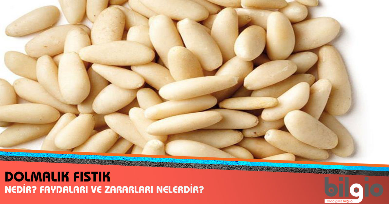 Yararlı çam fıstığından daha Yararlı çam fıstığından daha