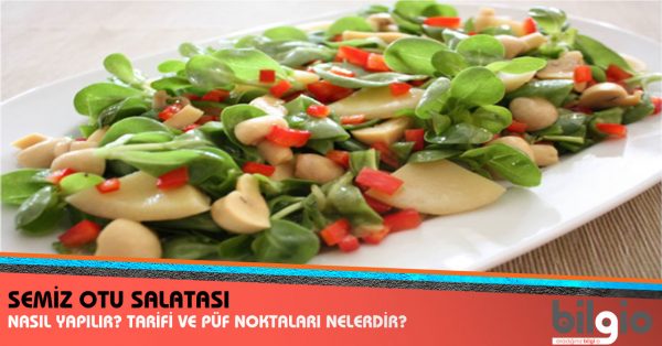 semiz-otu-salatası-nasıl-yapılır