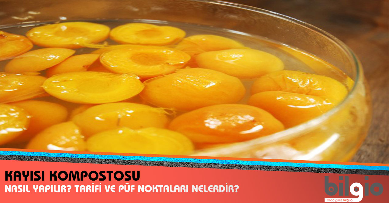 Portakal Kompostosu Tarifi Portakal Kompostosu Tarifi