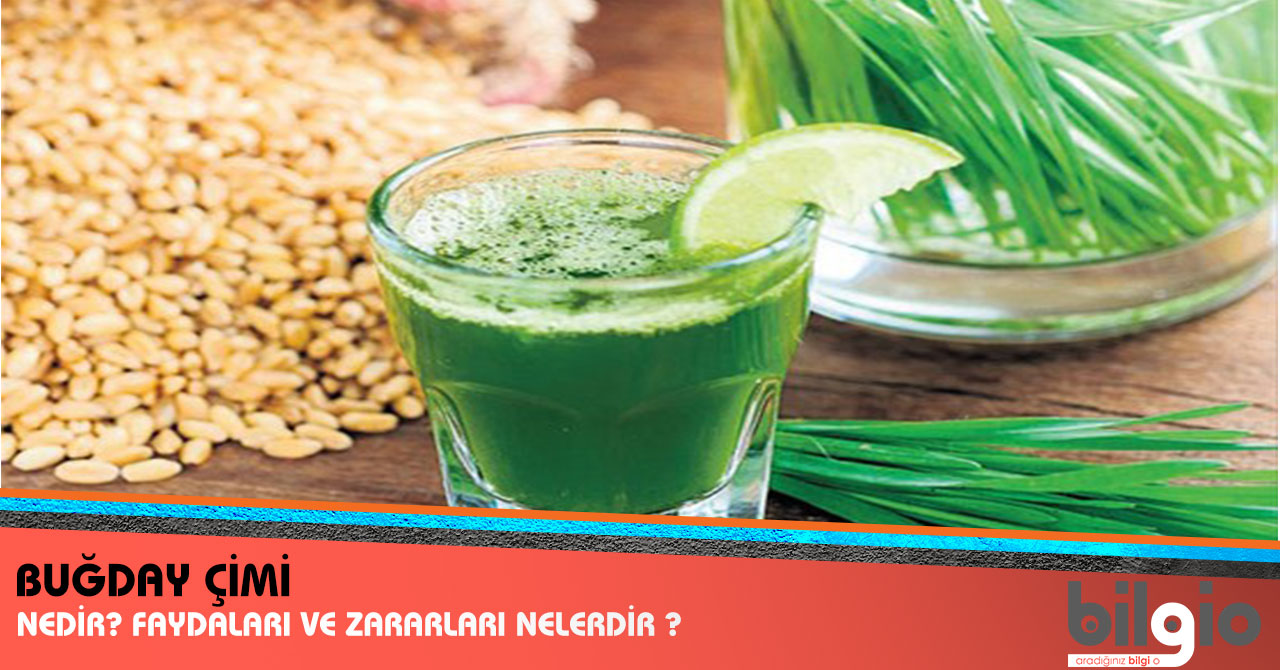 Yeterince yemek yemeyi öğrenmek: meyveler ve meyveler, kalori içeriği ve besin değeri Yeterince yemek yemeyi öğrenmek: meyveler ve meyveler, kalori içeriği ve besin değeri