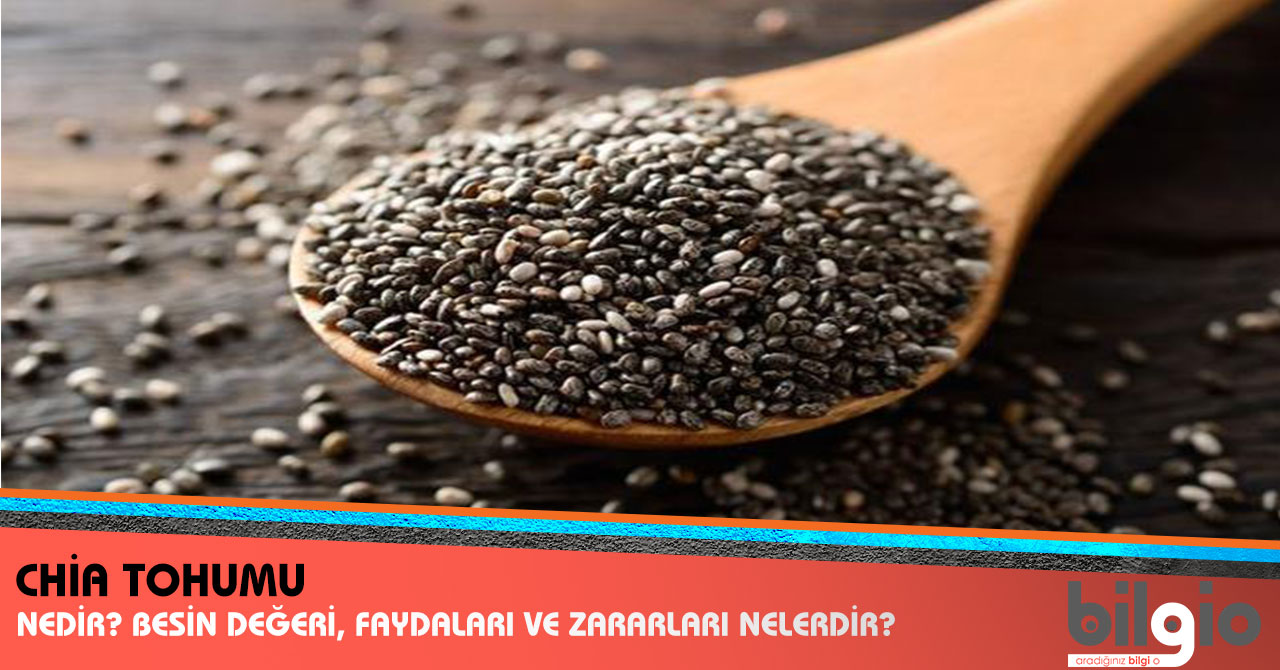 Süper besin chia tohumu Süper besin chia tohumu