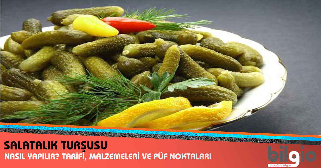 Turşu nasıl kurulur Püf noktaları nelerdir Turşu nasıl kurulur Püf noktaları nelerdir