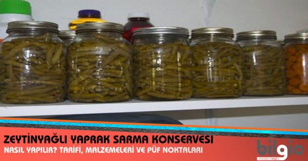 zeytinyağlı-yaprak-sarma-konservesi-nasıl-yapılır