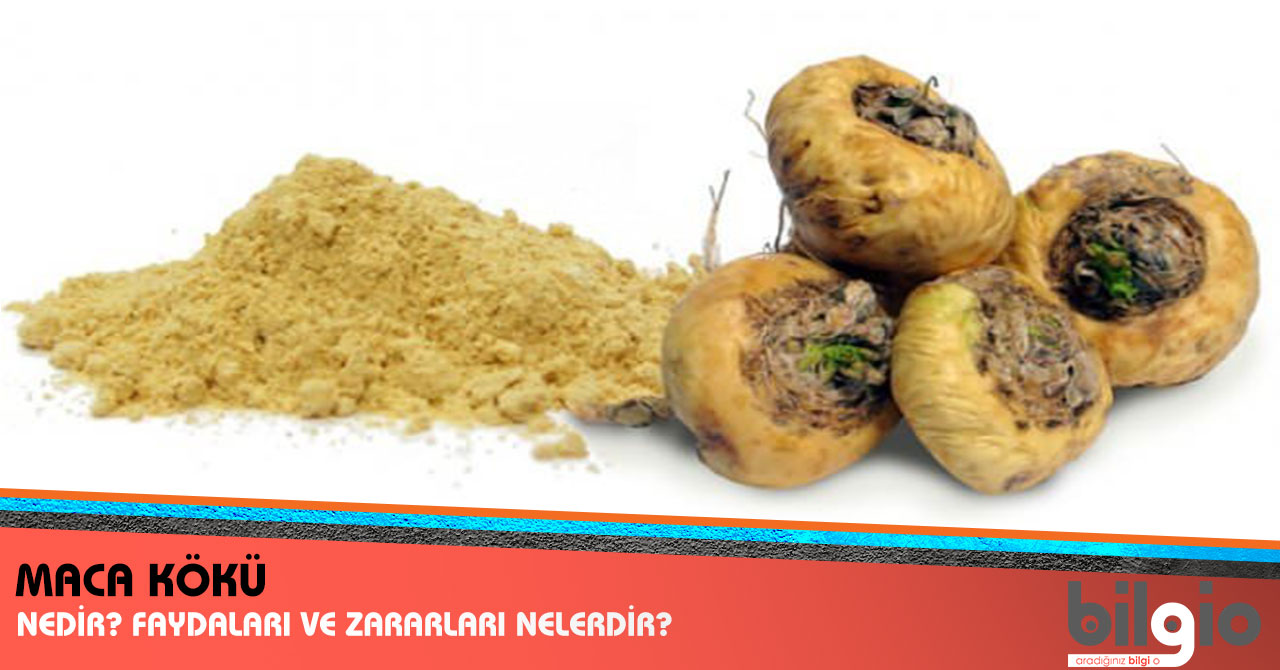 Kurutulmuş Meyvelerin Faydaları Zararları Kalorisi Kurutulmuş Meyvelerin Faydaları Zararları Kalorisi