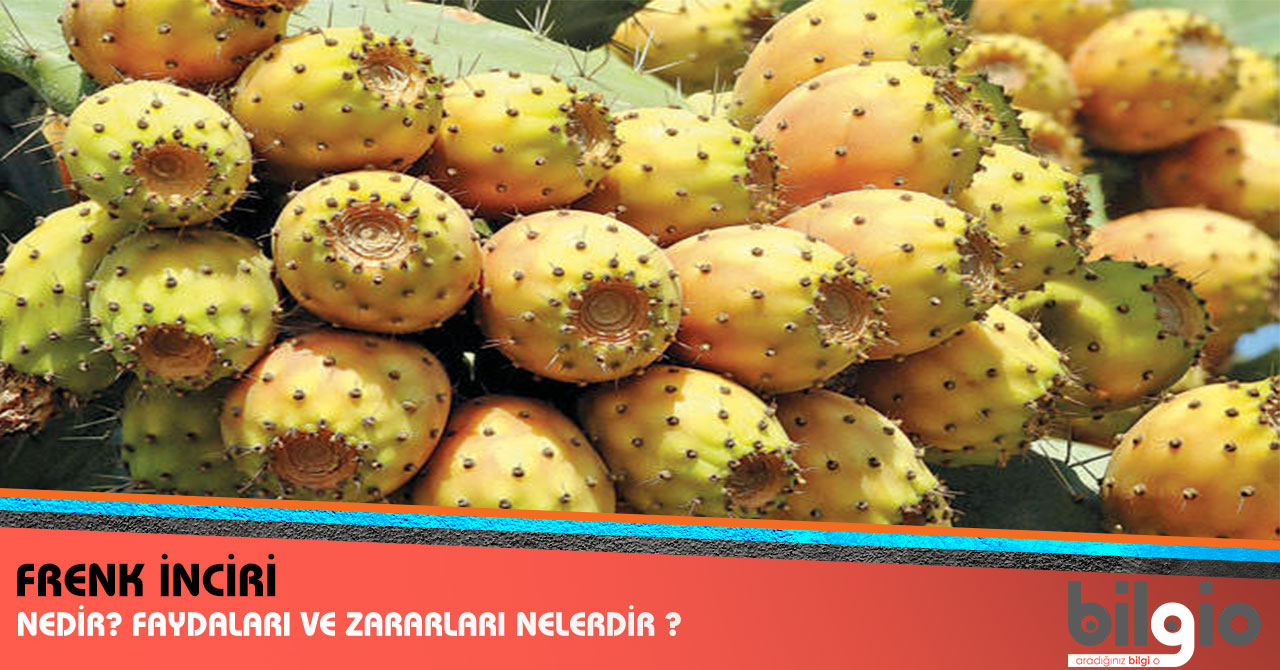 Contractubex Kullanımı ve Yan Etkileri Nelerdir Contractubex Kullanımı ve Yan Etkileri Nelerdir