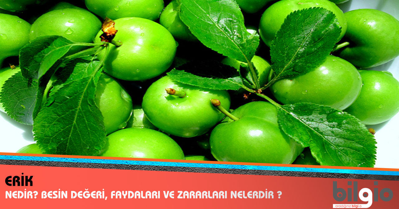 Faydaları Nelerdir Faydaları Nelerdir