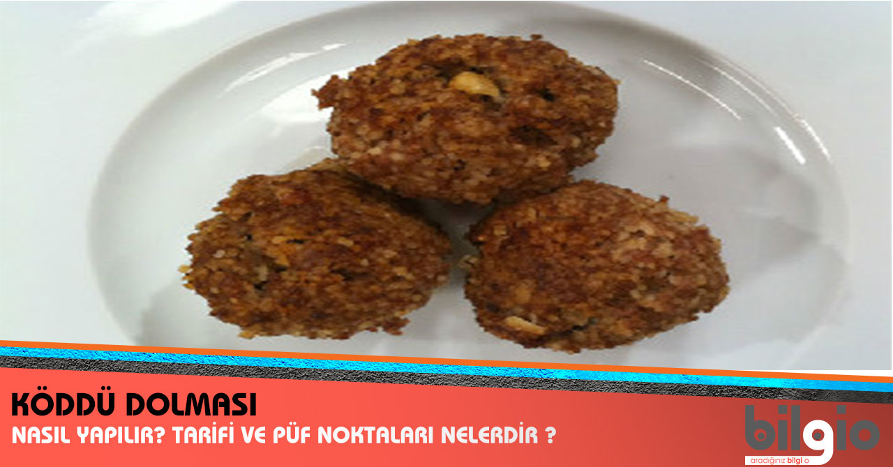 Köddü Dolması (Köfte Dolması ) Nasıl Yapılır ? Tarifi, Malzemeleri ve Püf Noktaları Nelerdir ?