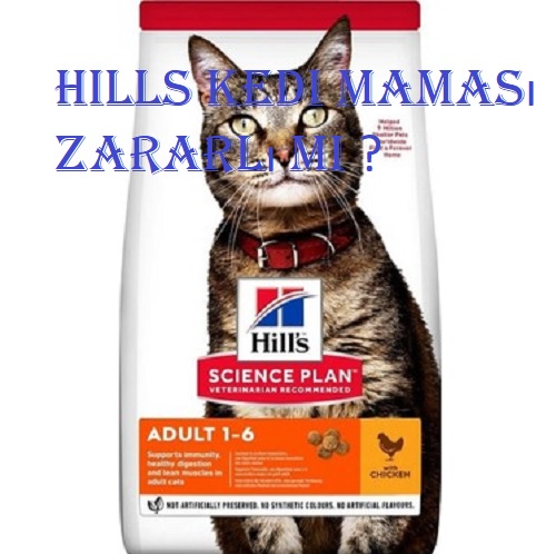 Hills kedi maması zararlı mı